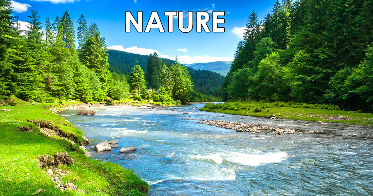 Nature OpenGraph Image